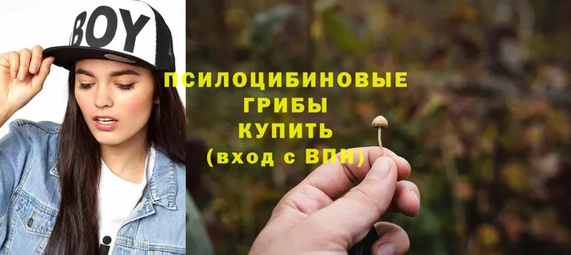 Галлюциногенные грибы MAGIC MUSHROOMS  blacksprut зеркало  Асино  что такое  