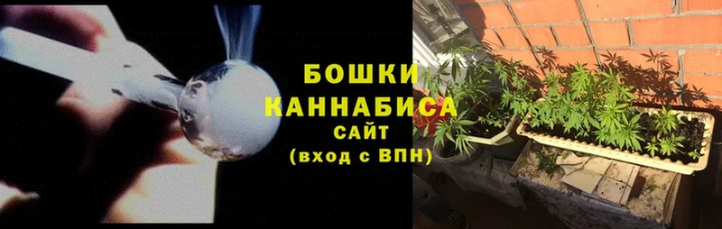 наркотики  Асино  Бошки марихуана White Widow 